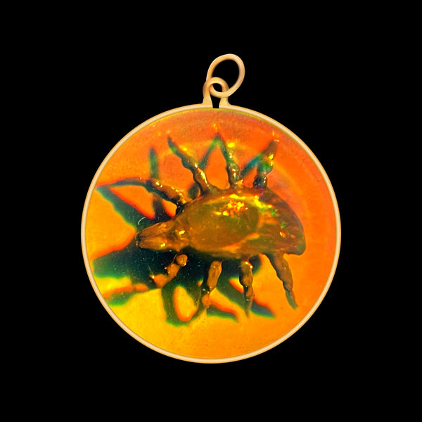 Mite Bug (Medium)